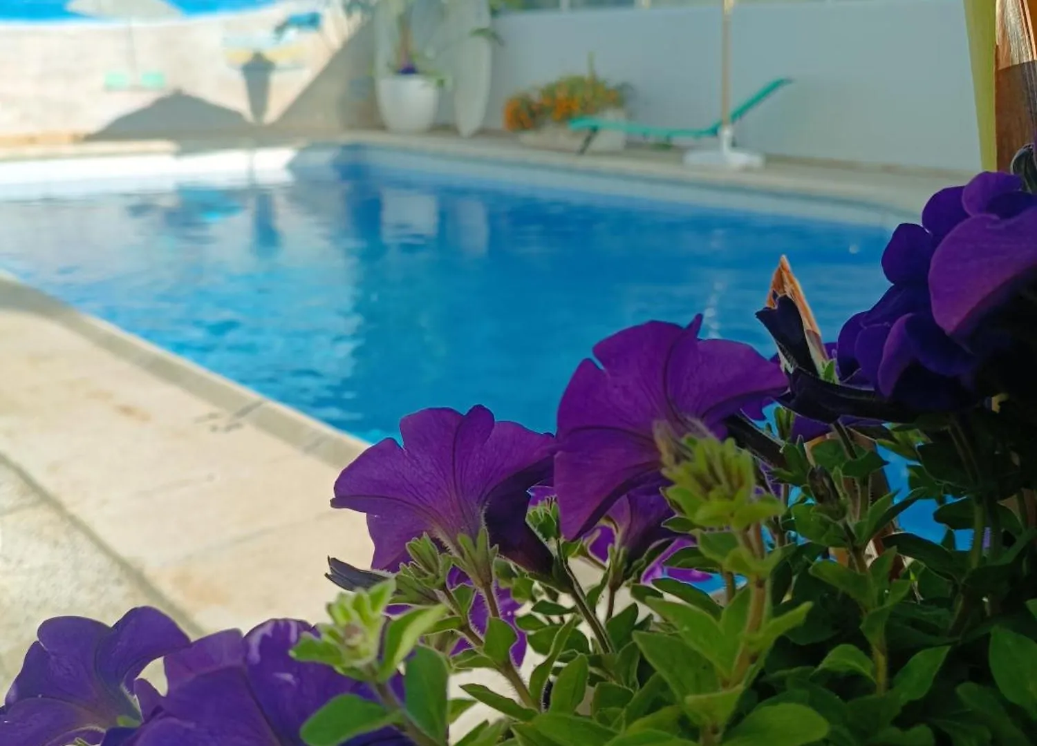 Love hotel Gasthaus Orsi Ses Cadenes Spain